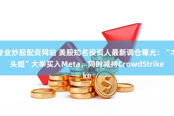 专业炒股配资网站 美股知名投资人最新调仓曝光：“木头姐”大举买入Meta，同时减持CrowdStrike
